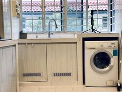 Haig Road (D15), Apartment #501293221